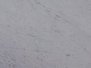 Banswara White Marble