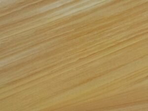 Teakwood Sandstone
