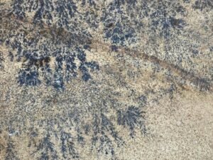 Fossil Mint Sandstone